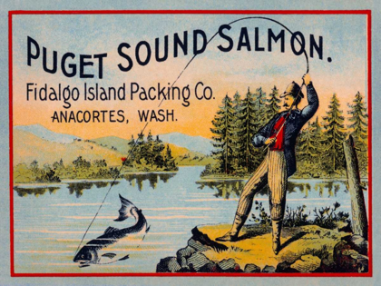 Picture of PUGET SOUND SALMON - ON THE FLY