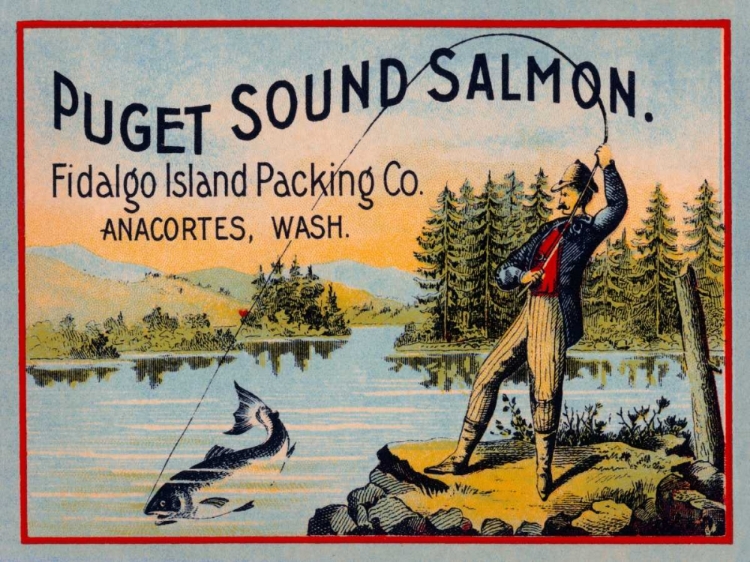 Picture of PUGET SOUND SALMON - ON THE FLY