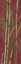Picture of RED BAMBOO I