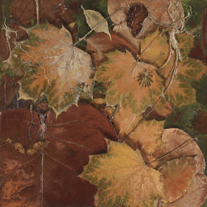 Picture of SCATTERED LEAVES II