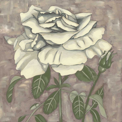 Picture of SILVER ROSE I