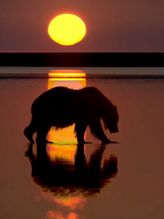 Picture of BEARS AT PLAY I