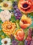 Picture of FLOWER BOUQUET II