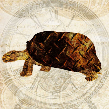 Picture of STEAM PUNK TURTLE I