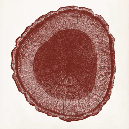 Picture of TREE RING I