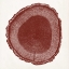 Picture of TREE RING I