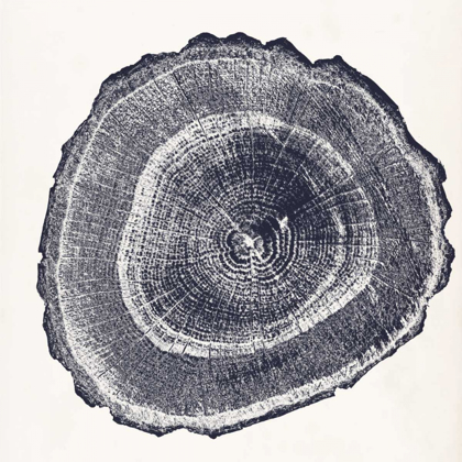 Picture of TREE RING III