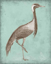 Picture of SEPIA AND SPA HERON III
