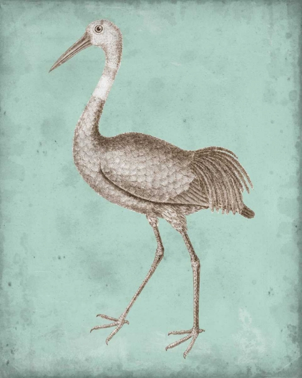 Picture of SEPIA AND SPA HERON IV