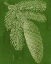 Picture of MODERN PINE IV