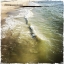 Picture of BUCKROE BEACH I