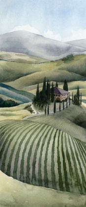 Picture of WATERCOLOR TUSCANY II