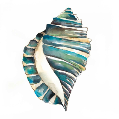 Picture of AQUARELLE SHELLS I