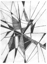 Picture of SYMBOL IMPRINT II