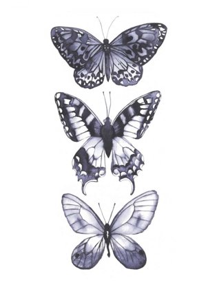 Picture of MONOCHROME BUTTERFLIES I