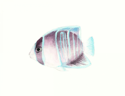 Picture of WATERCOLOR TROPICAL FISH III