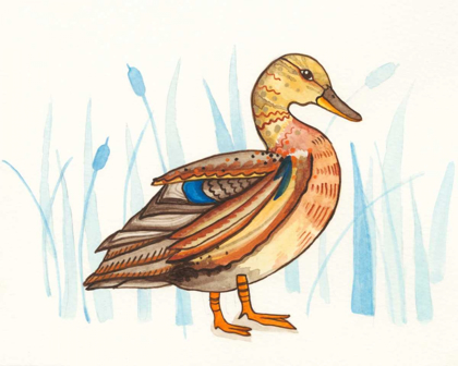 Picture of WETLAND MALLARD II