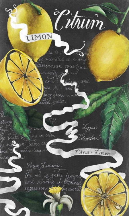 Picture of CHALKBOARD CITRUS I
