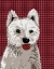 Picture of WEST HIGHLAND TERRIER PLAIN