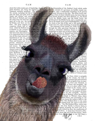 Picture of SILLY LLAMA