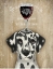 Picture of DOG AU VIN DALMATIAN