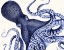 Picture of LANDSCAPE BLUE OCTOPUS