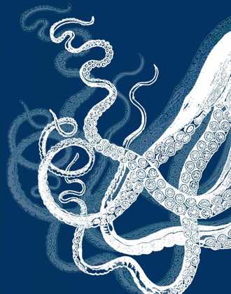 Picture of OCTOPUS TENTACLES BLUE AND WHITE