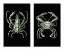 Picture of CRABS ON BLACK IN 2 PANELS