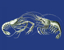 Picture of SHRIMPS ON BLUE