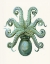 Picture of TURQUOISE OCTOPUS AND SQUID C