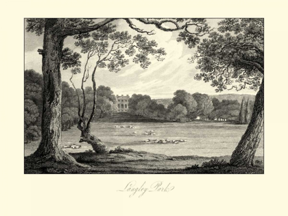 Picture of VIEW OF LANGLEY PARK