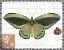 Picture of BUTTERFLY PROSE II