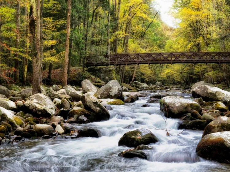 Picture of BRIDGING THE SEASONS