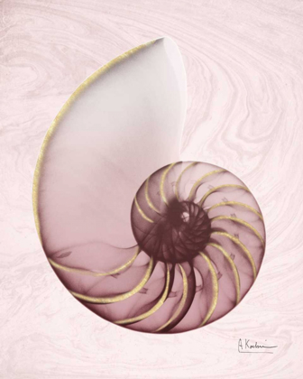 Picture of MARBLE BLUSH SNAIL 1
