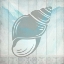 Picture of SEA SHELL 1
