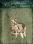 Picture of DEER IN THE FIELD