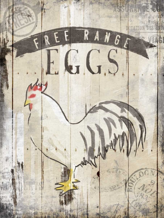 Picture of FREE RANGE EGGS