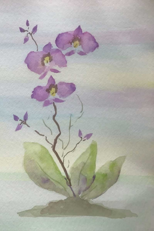 Picture of ORCHID DUO 1