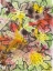 Picture of FALL FOLIAGE