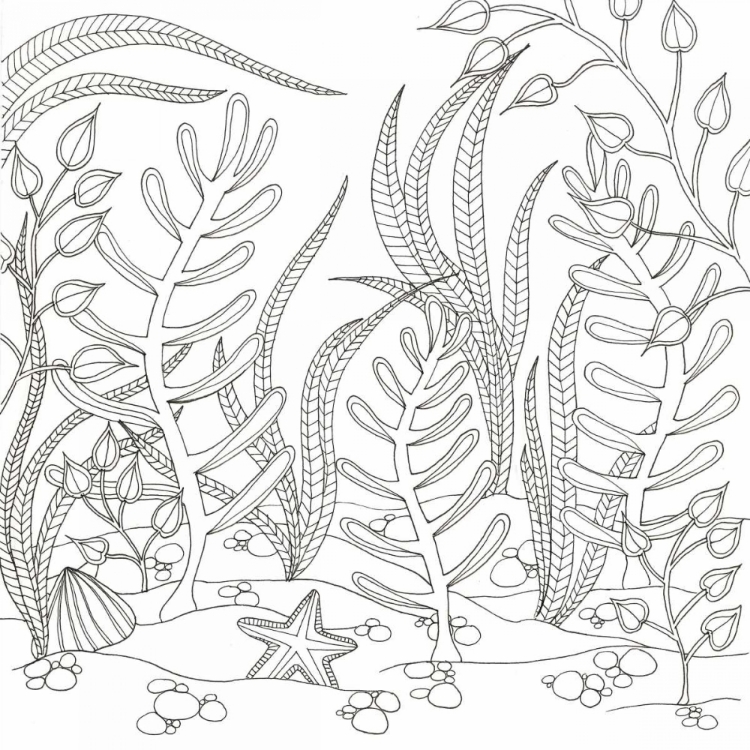 Picture of SEAWEED SCENERY