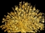 Picture of GOLDEN PEACOCK 4