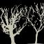 Picture of DUO TREE