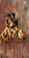 Picture of GIRAFFE PROFILE