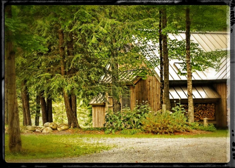 Picture of VINTAGE COUNTRY WOODS HOME