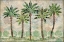 Picture of DELRAY PALM HORIZONTAL