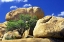 Picture of TEXAS CANYON ROCKS II