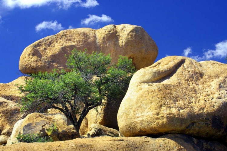 Picture of TEXAS CANYON ROCKS II