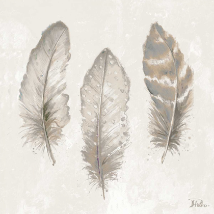 Picture of THREE MODERN FEATHERS II