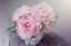 Picture of BOUQUET OF BLOOMS