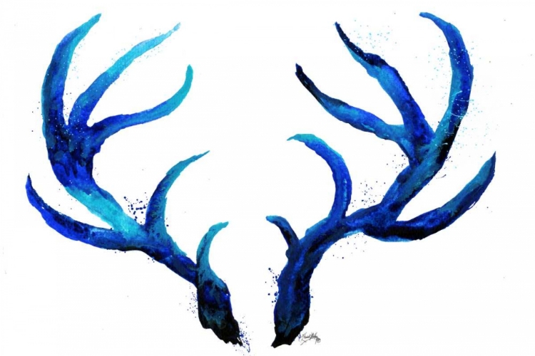 Picture of BLUE ANTLERS